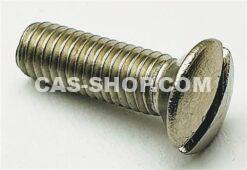 Hing coverplate screw, stainless steel